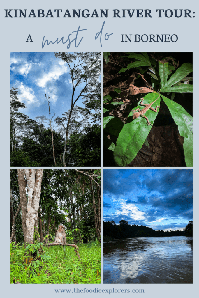 A must do in Borneo