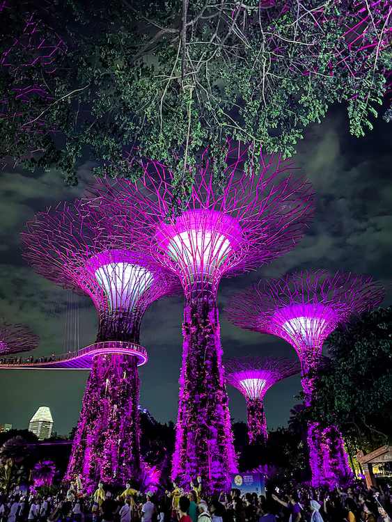 Free things to do in Singapore