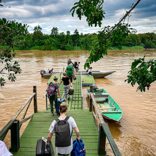 Kinabatangan River Tour