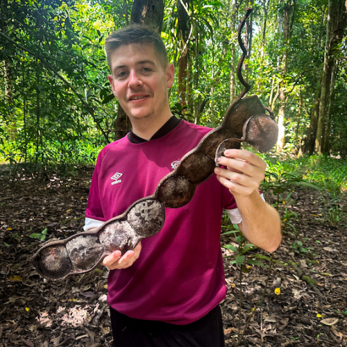 Kinabatangan River Tour