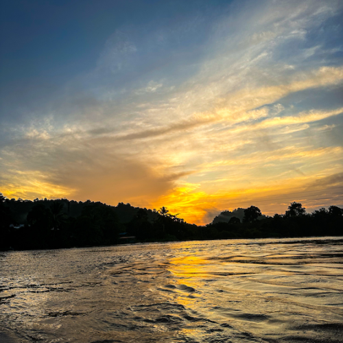 Kinabatangan River Tour